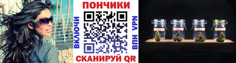 дарнет шоп  ОМГ ОМГ ССЫЛКА  Канабис план  Заозёрный 
